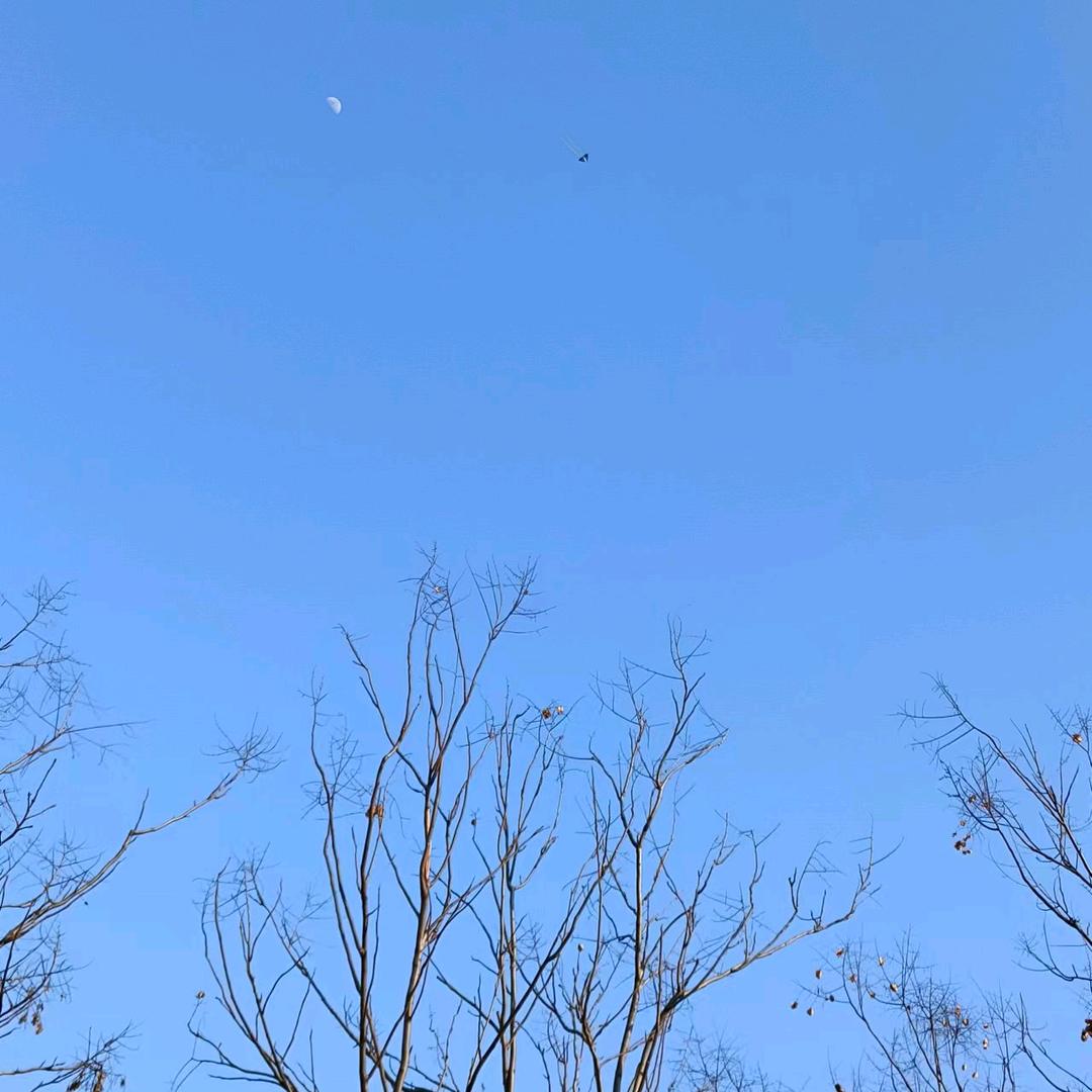 小吴老师