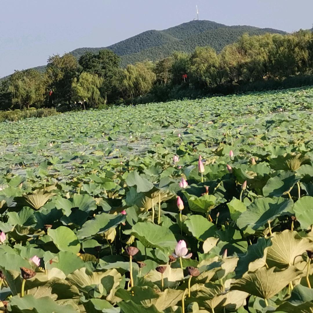平安一声