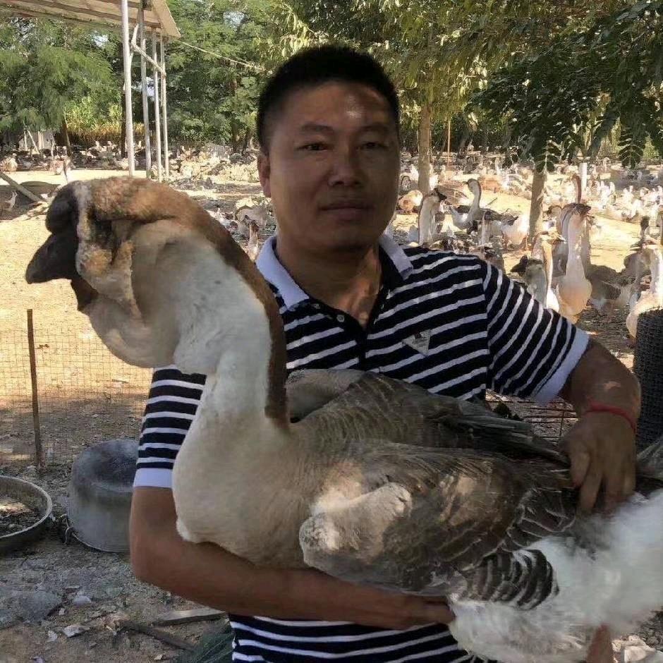 贵州省凯里市阿天养殖业