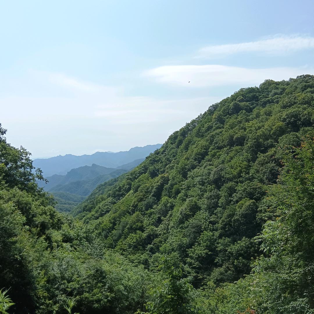 龙城明月