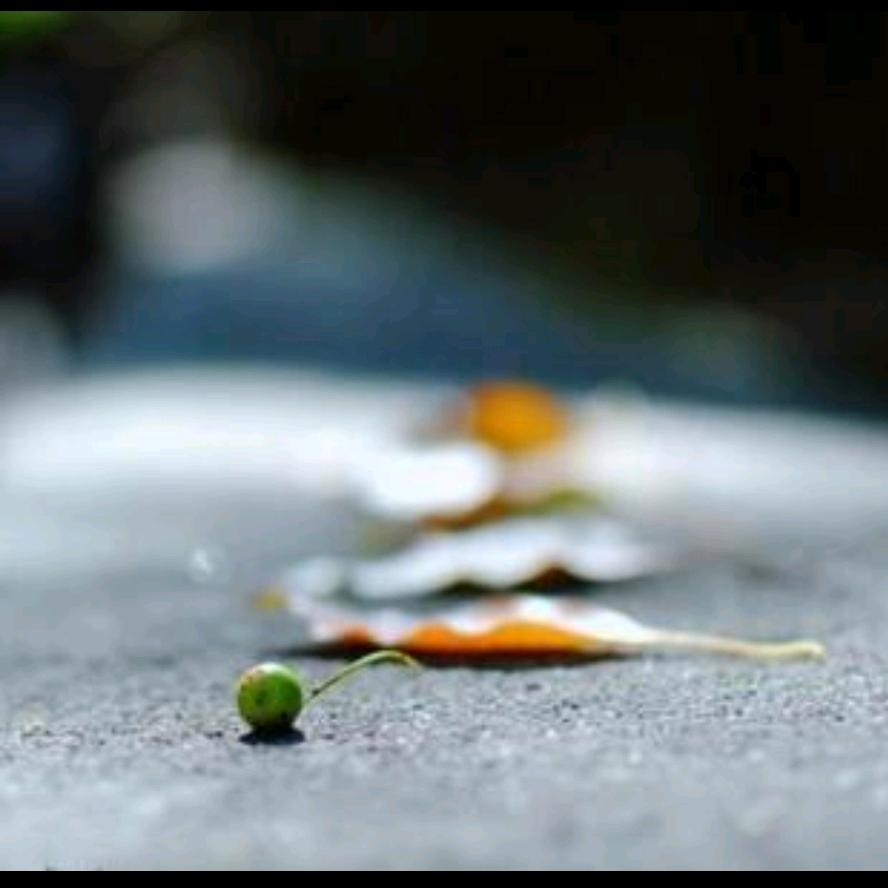 果冻🏃🏻‍♂️