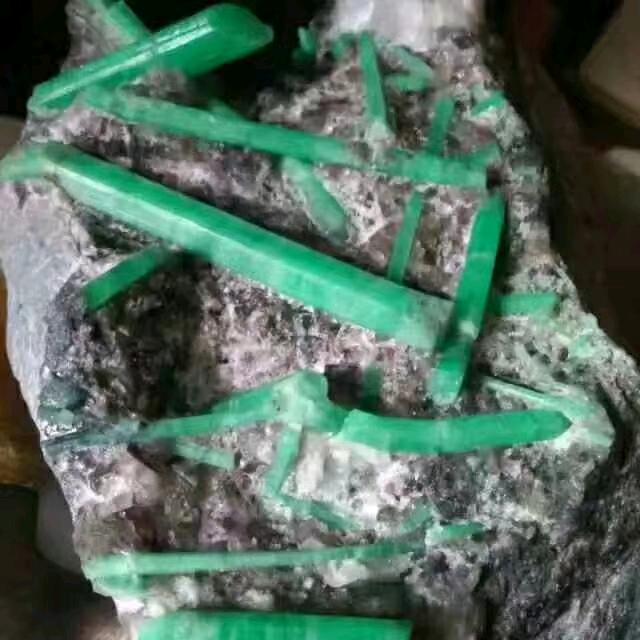 云南往返广东私家车