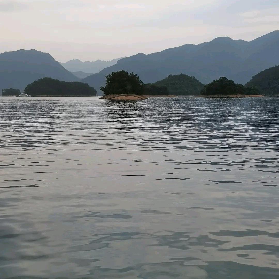 奉新惠达