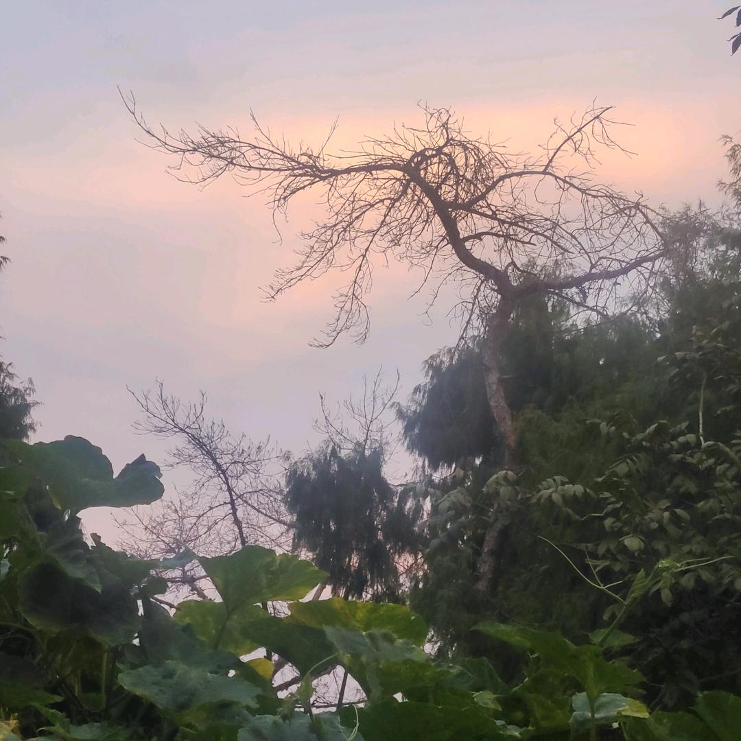 ℋღ西᭄🍒哥᭄