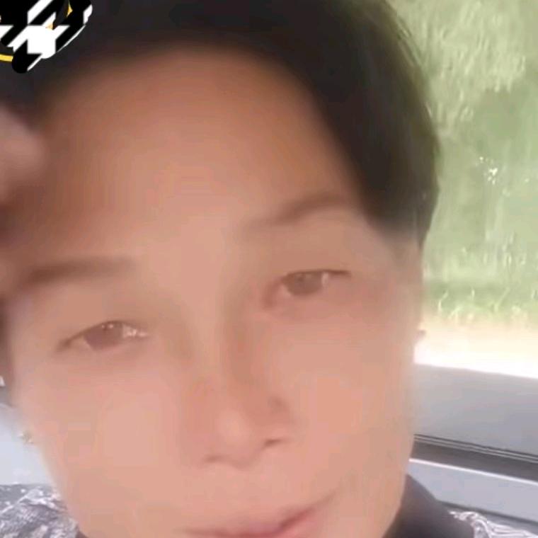 高价买杨树