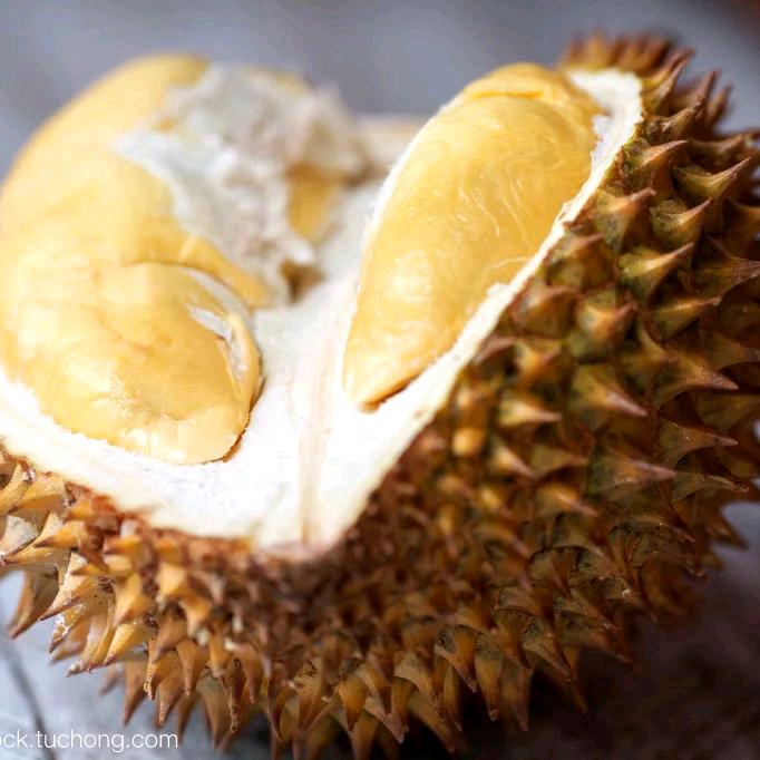 重生之豪门富婆爱上秃头的我