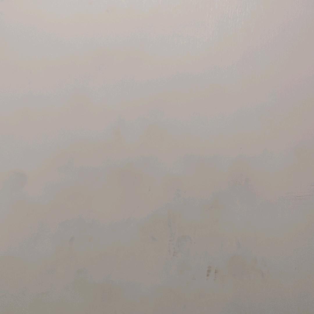 摆烂到大街的蛇