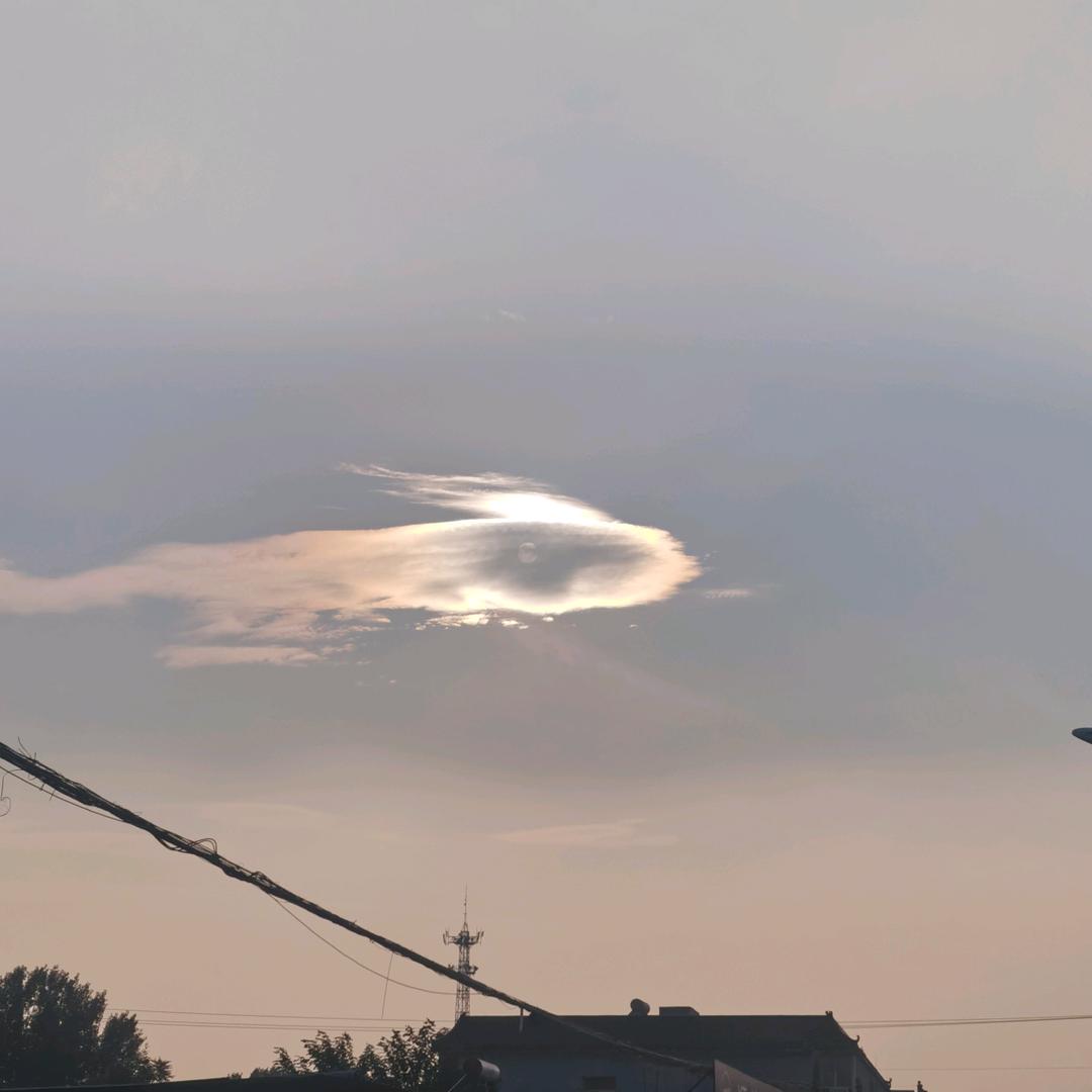 追星人