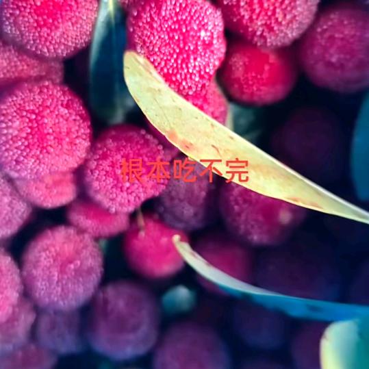 🌹💋贝贝💋👭