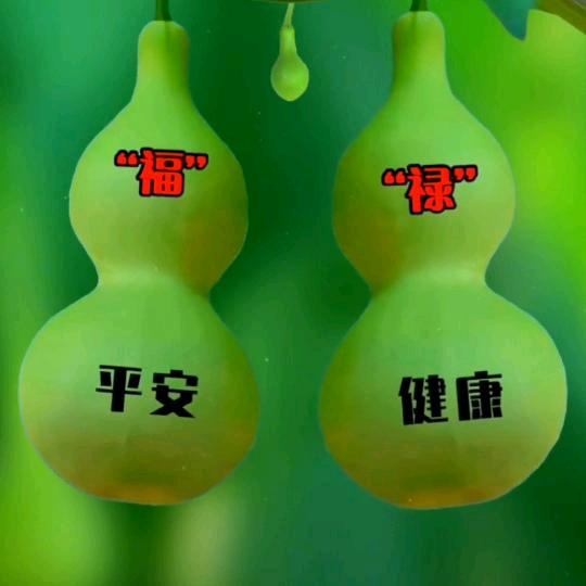 好年华