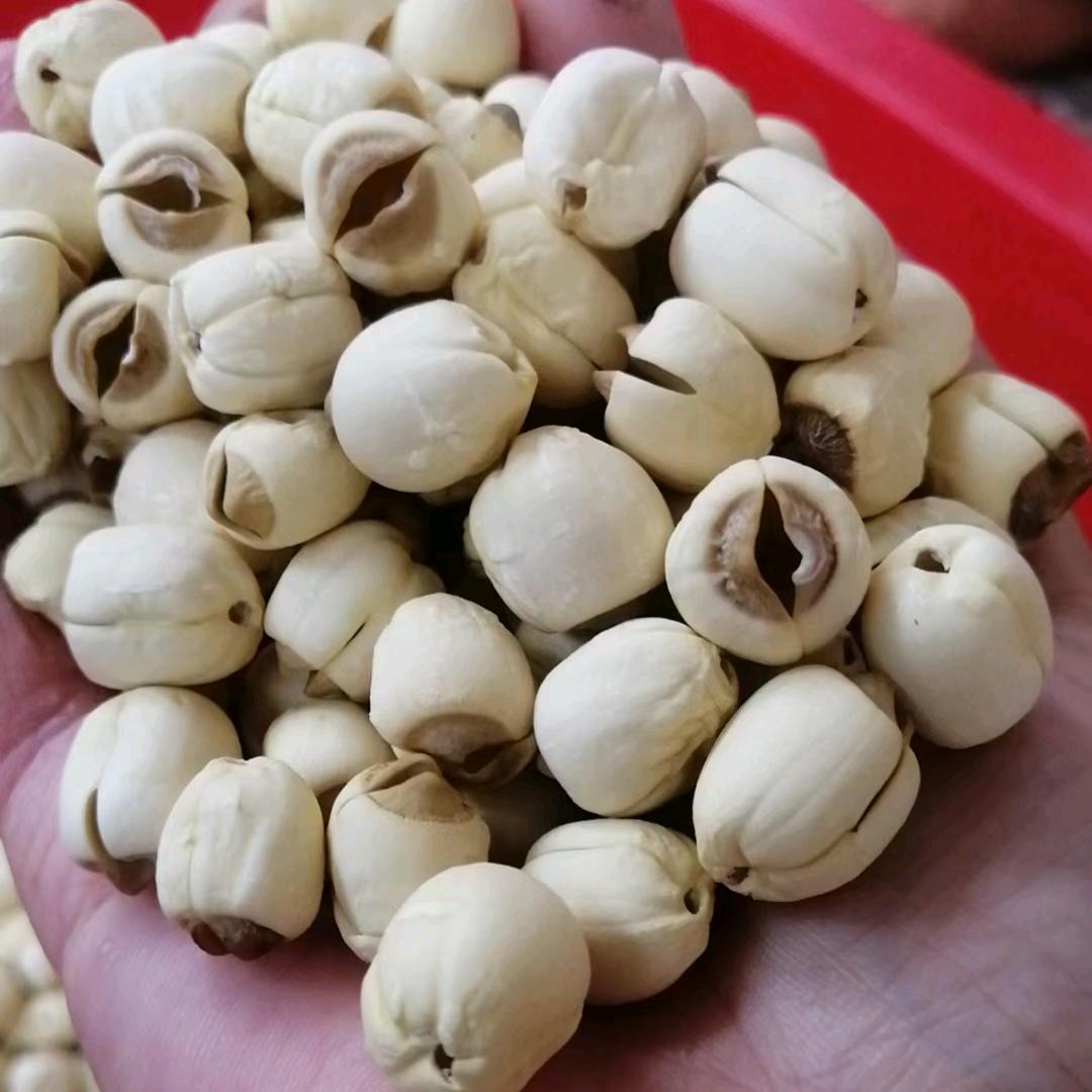 宁都县鲜品莲农产品