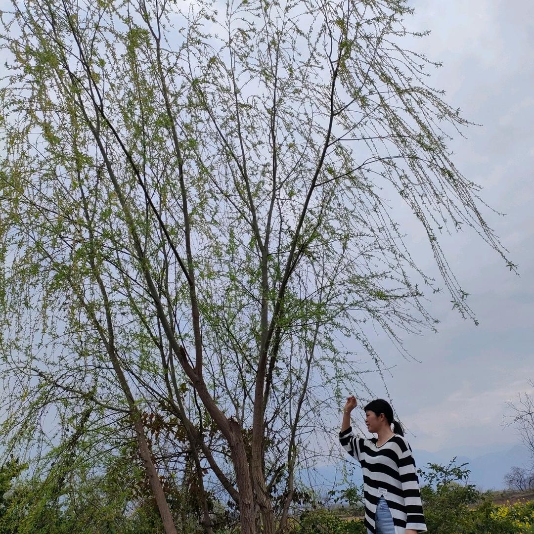 往后余生做自己