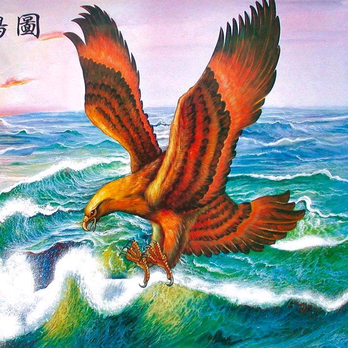 鹏程万里🔥