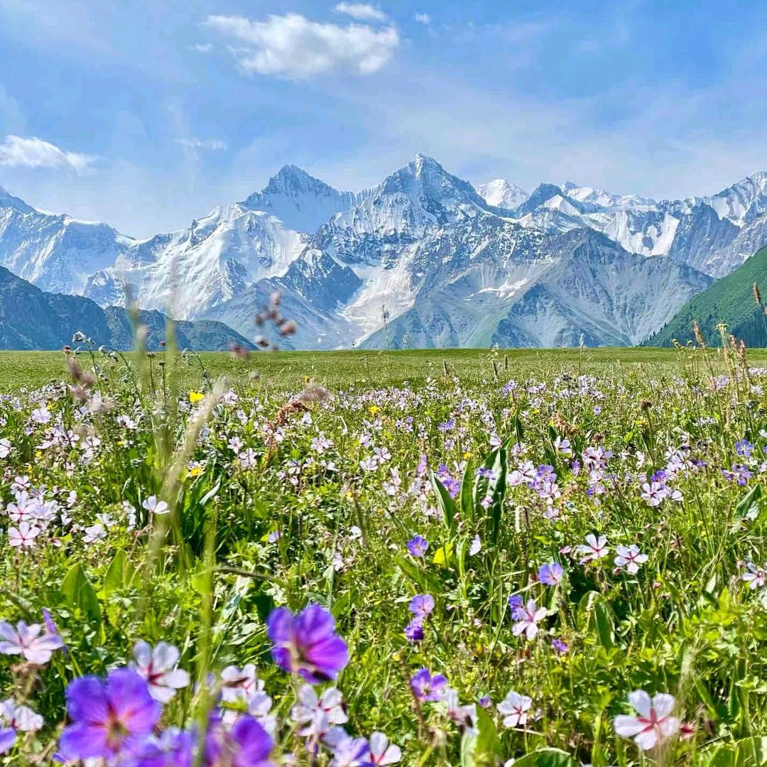 🌈LJY疆遇（纯玩)