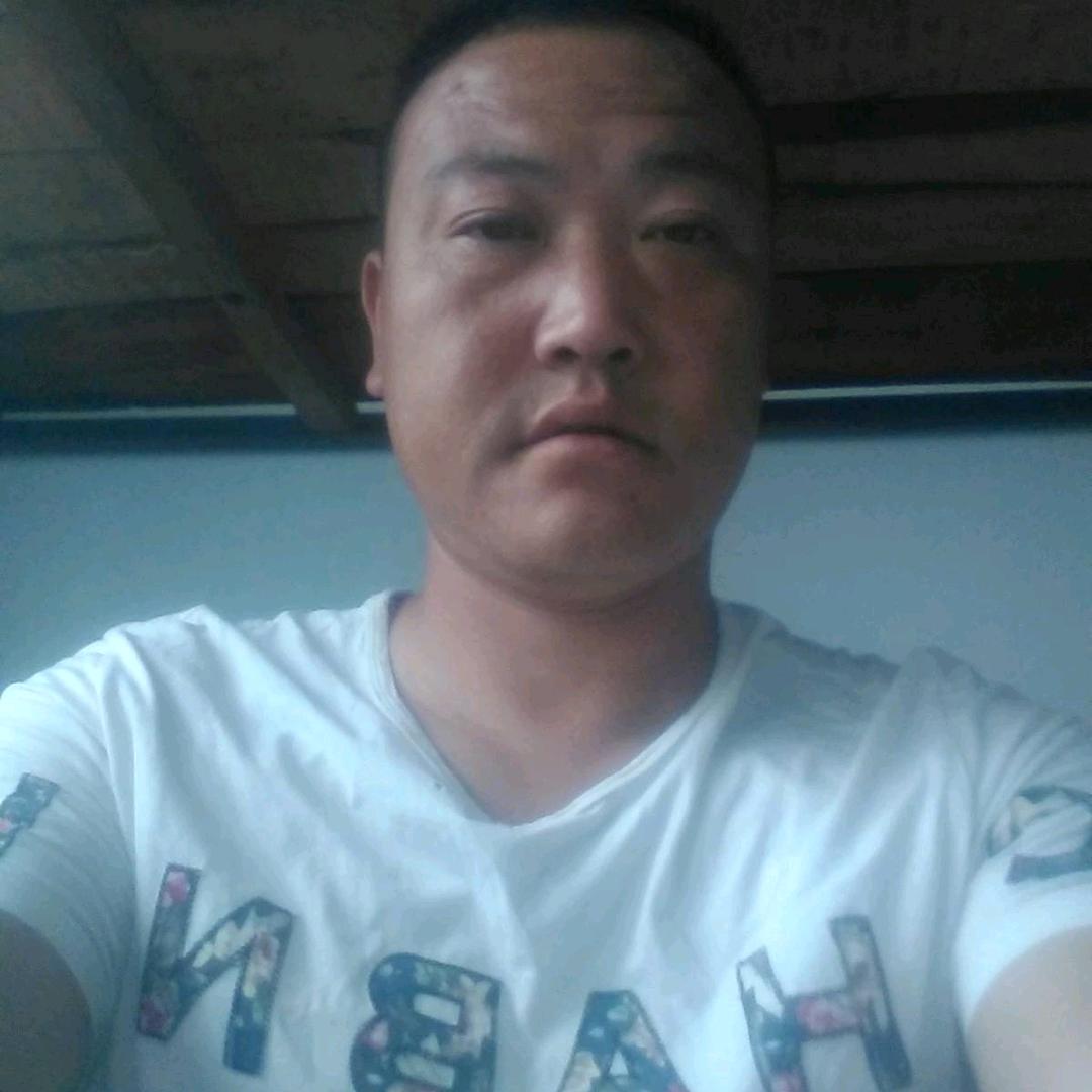 呓语/白鲨