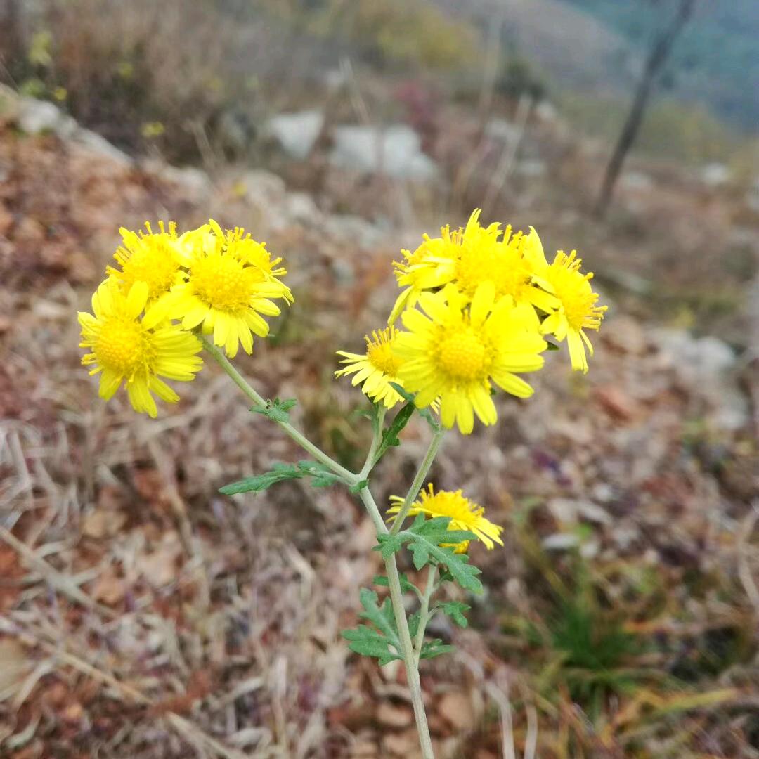 一生有你
