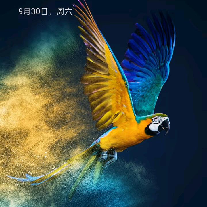 🇨🇳 人生百味🍔🍭🍻🏀