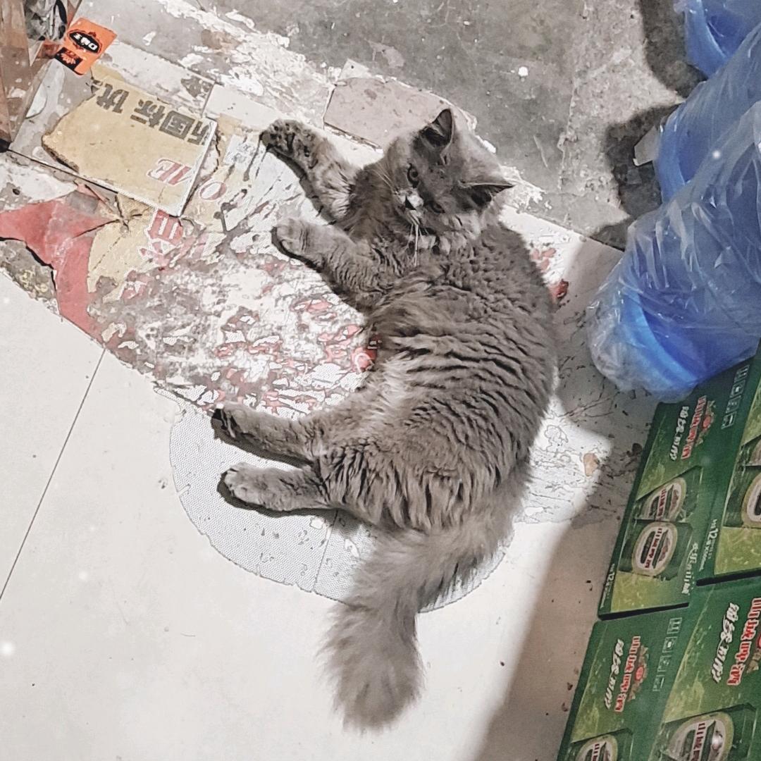 鑫诚台球练练学学