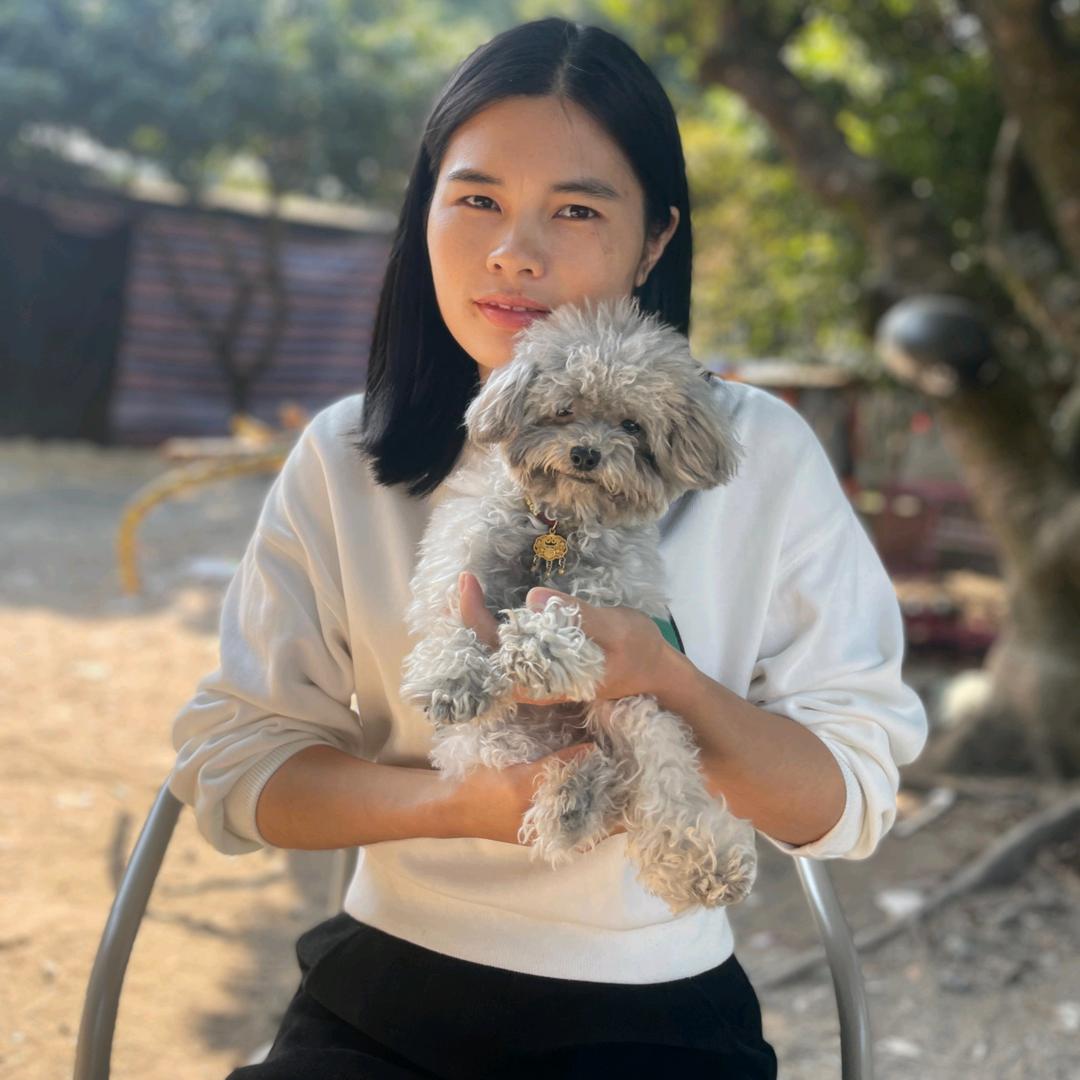 东莞犬舍丹姐