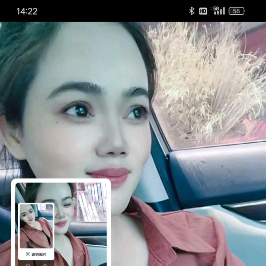 小白蔡