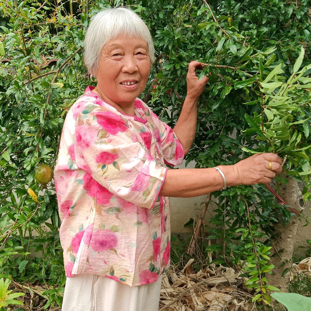 胡珍珍