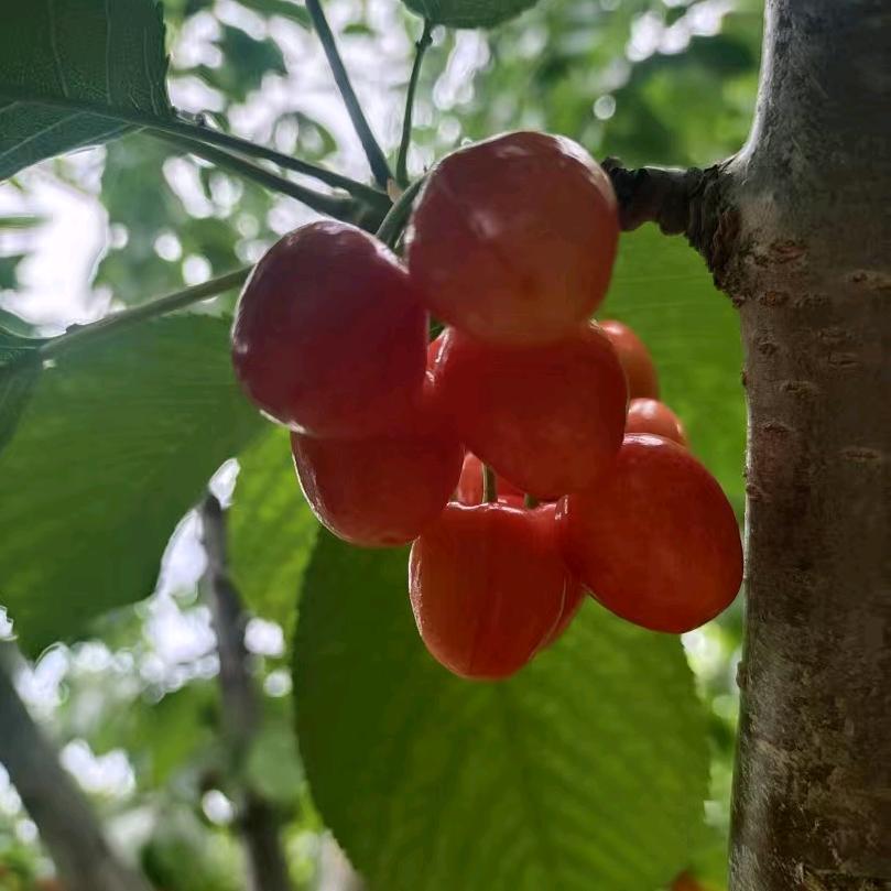 永寿县贵夫人服饰