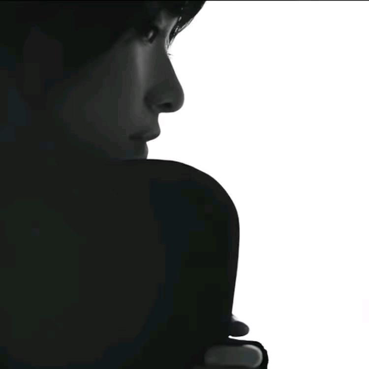 小李子