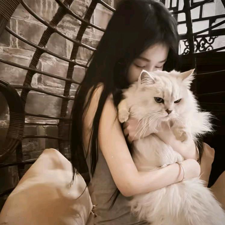 ㅤㅤㅤㅤㅤㅤ       ㅤㅤㅤ