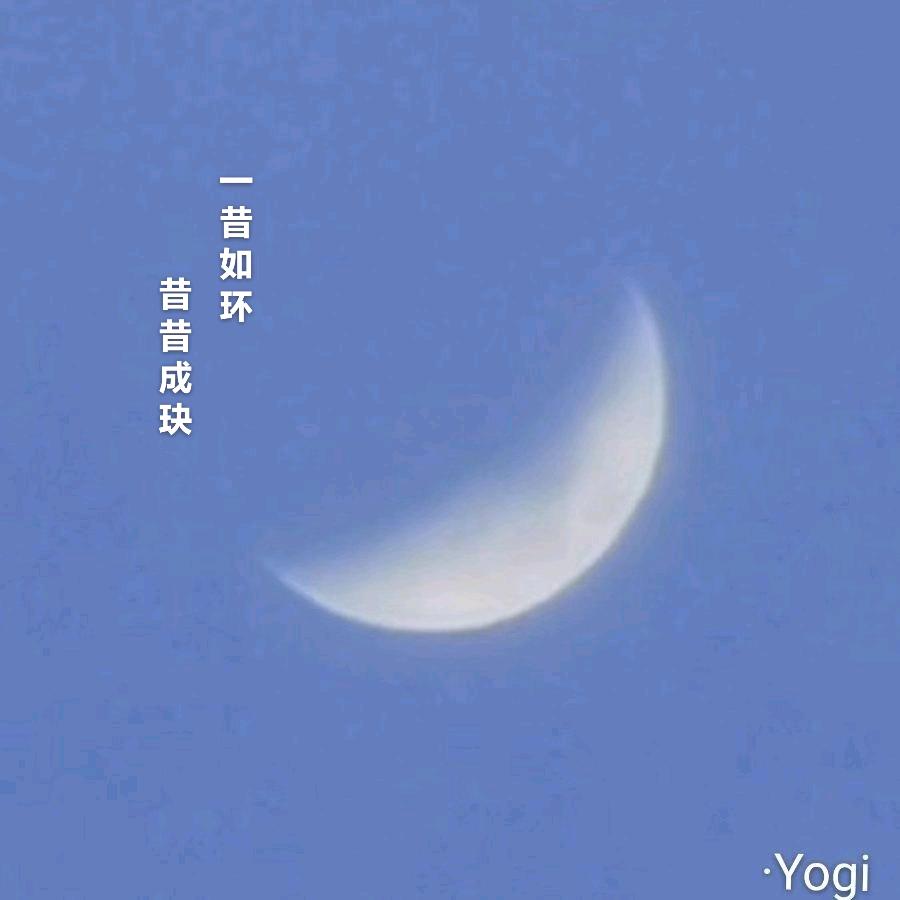 🌈Yogi🌼