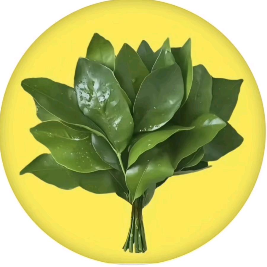 🌻80后四十而已(橱窗好物分享)🌻