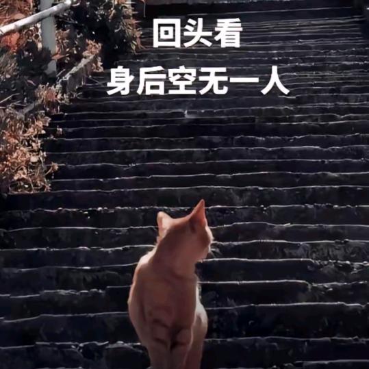 吥惪