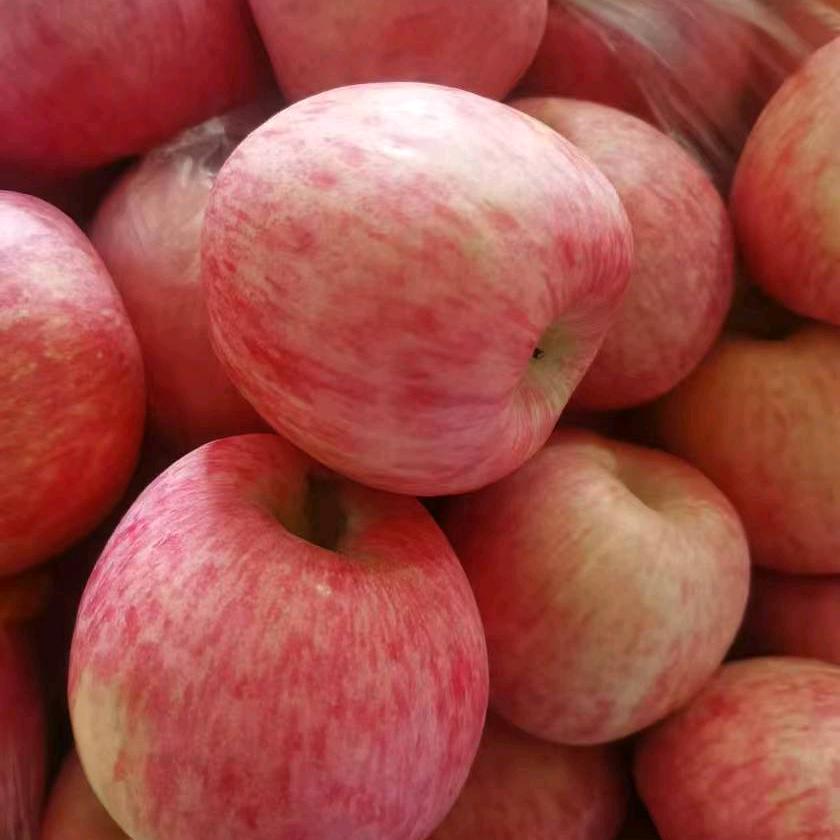 宜川苹果霞🍎🍎🍎🍎