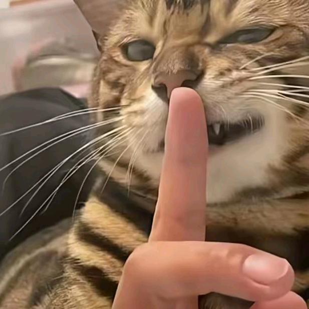 豹🐆炸啦