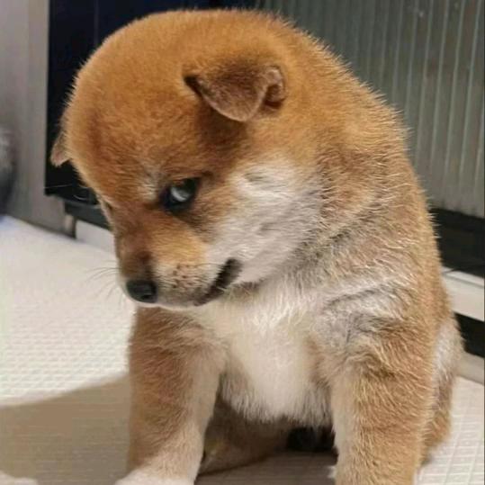 无言的结局