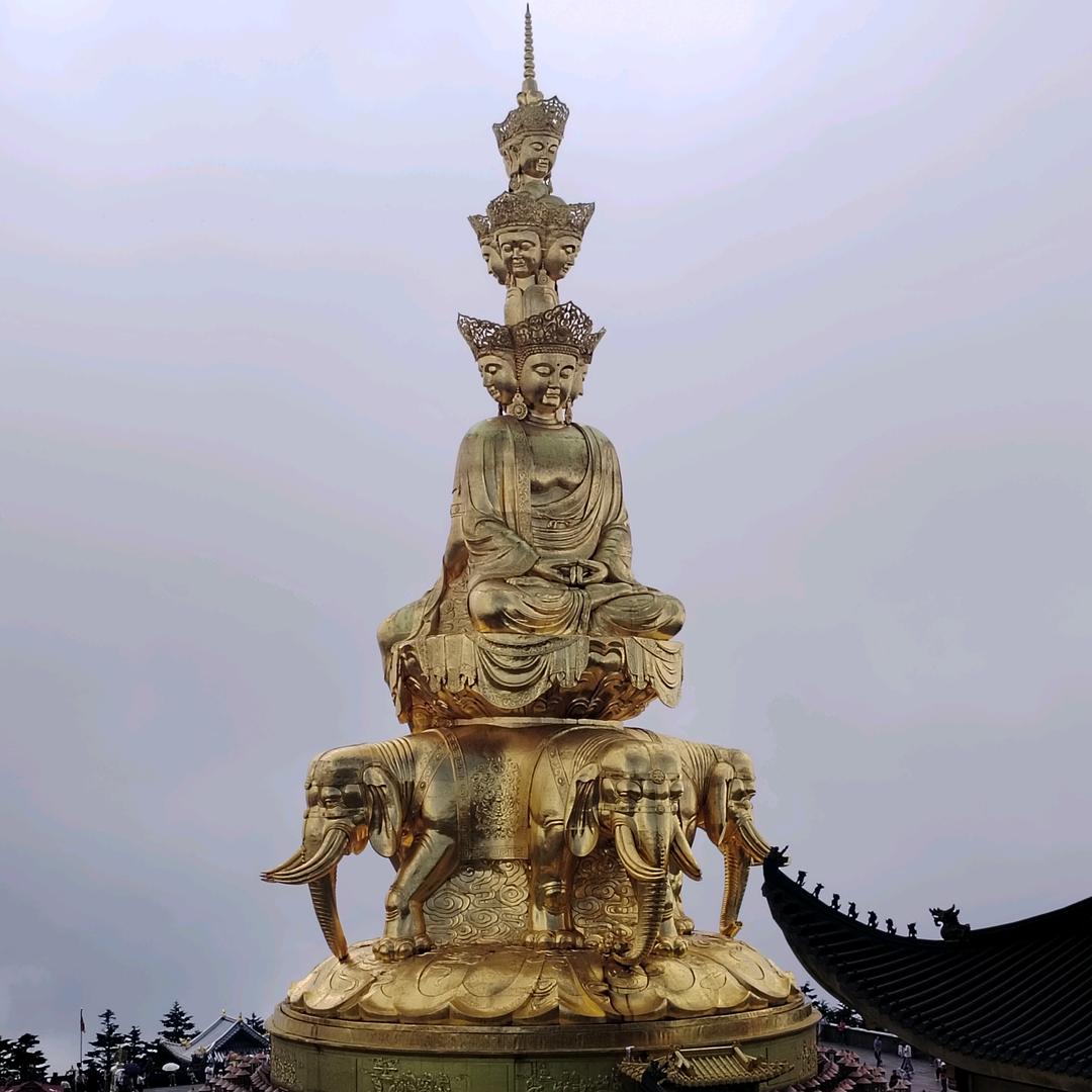 雇佣军副大队