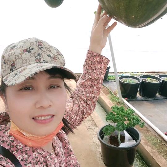 有你就好🌹🌹小号
