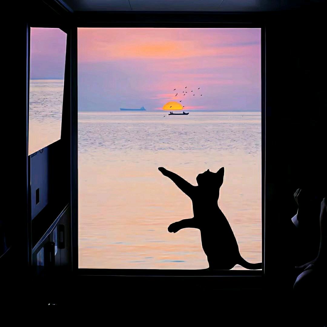 可可精选好物铺子