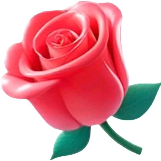 暖心钟爱一生🌹