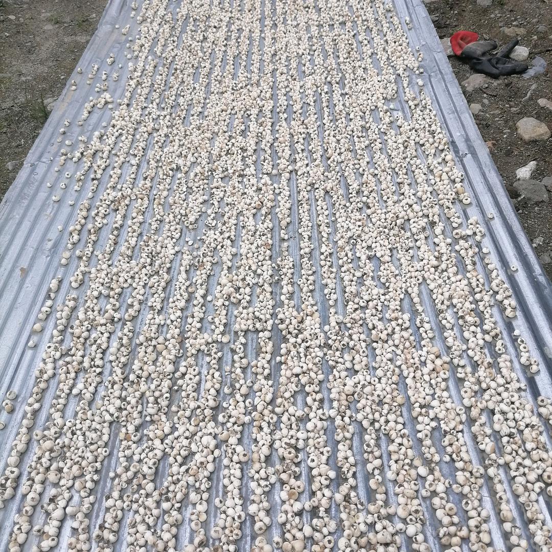 用户328120553225216047