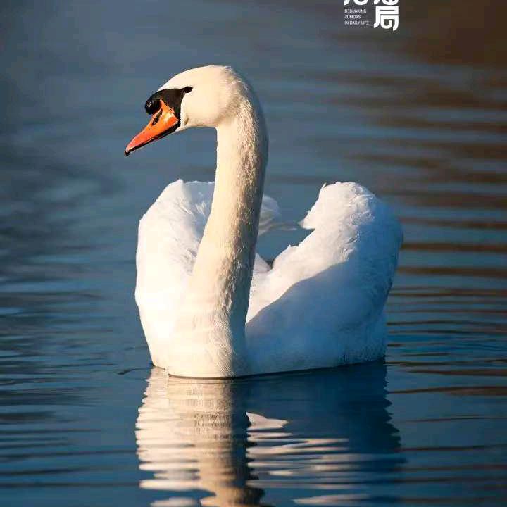 坏😡老😡头😡