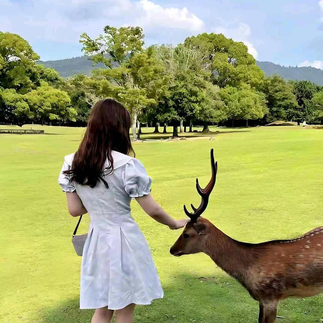 鹿乡富婆潇潇生活号