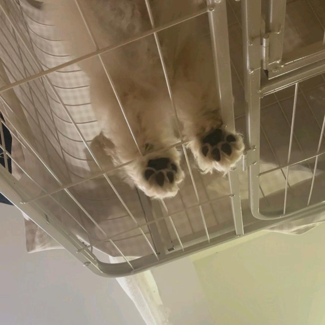 我路过那个傍晚