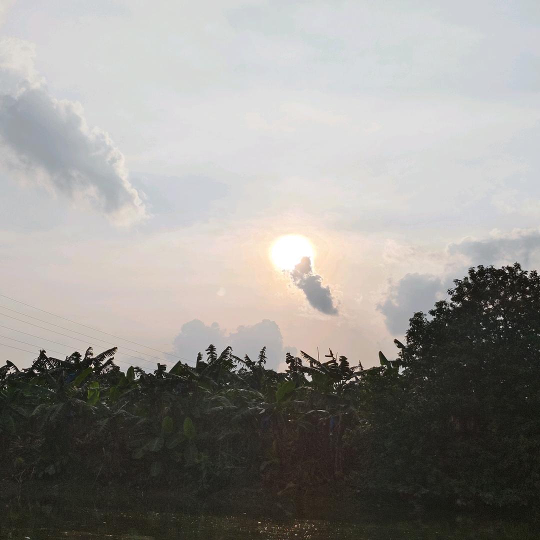 疯狂的帅哥网红书法家