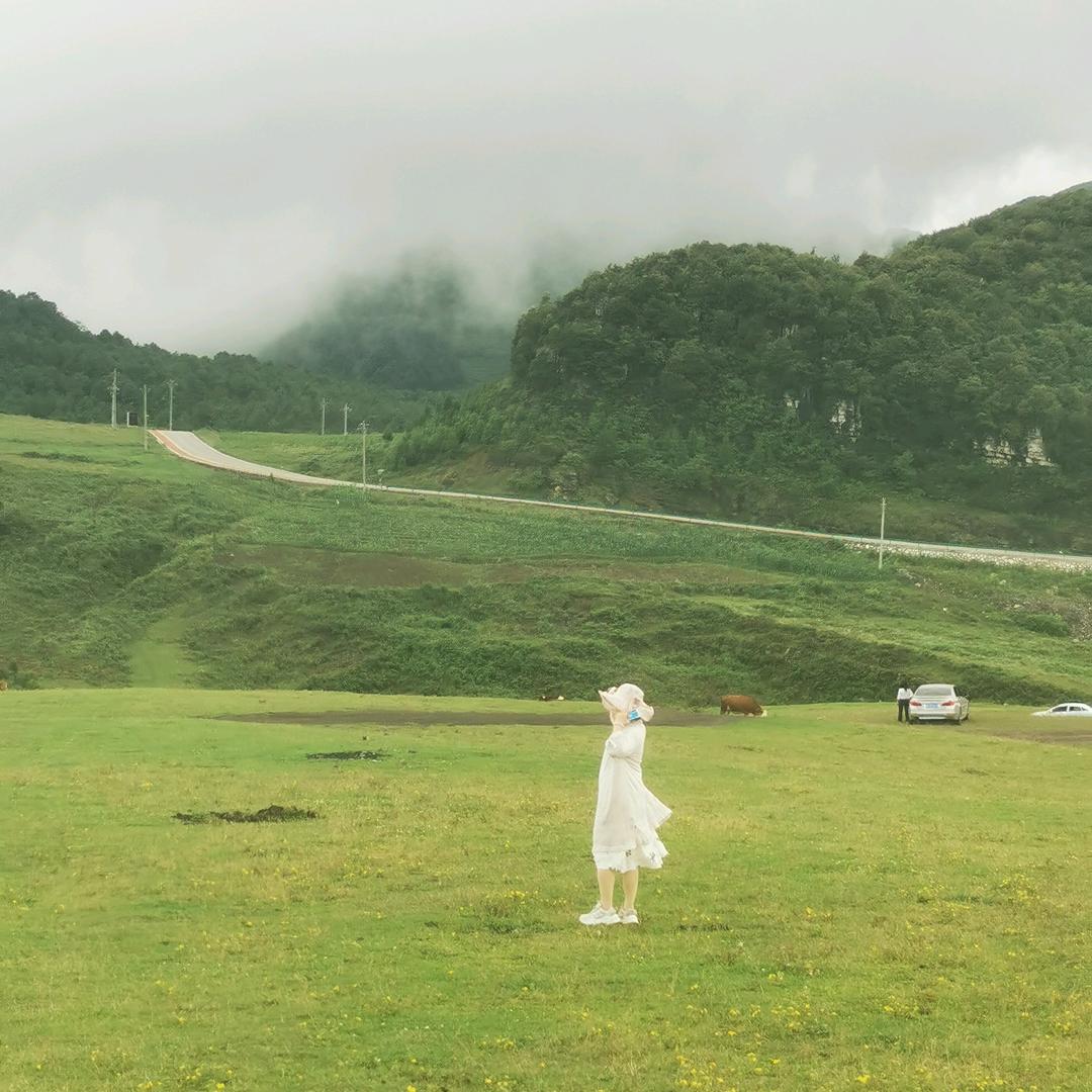 玫瑰🌹香薰