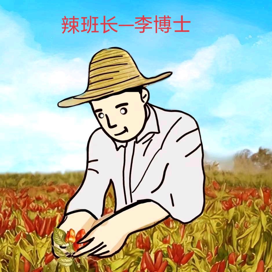辣班长