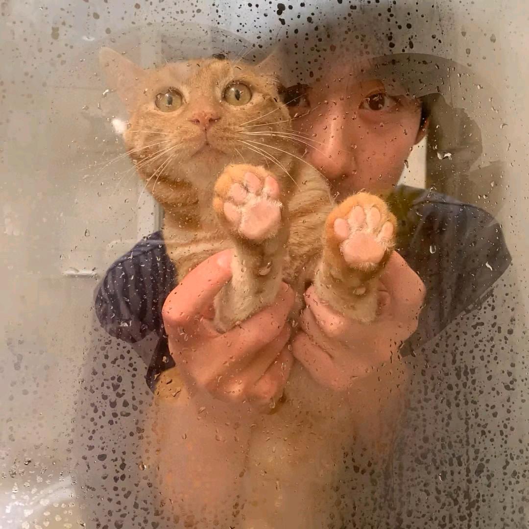 严君泽QAQ