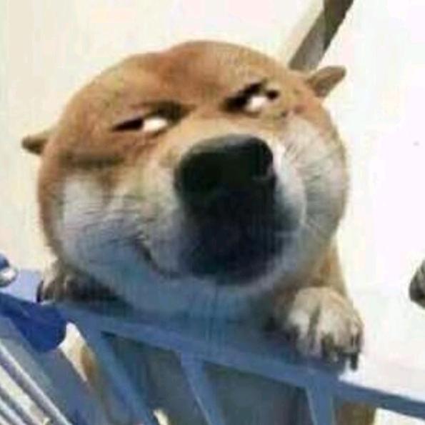 大大滴良民