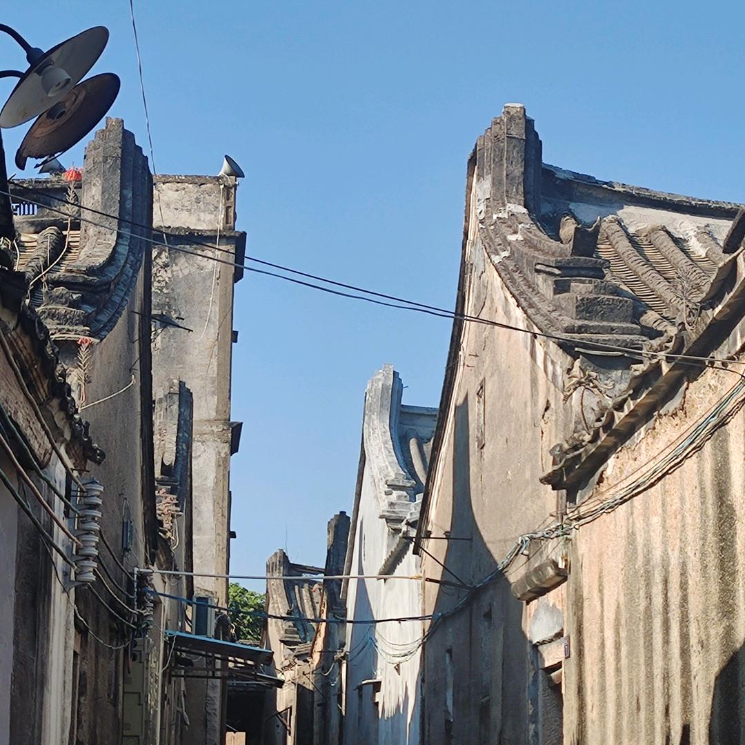 我就要小高这个名