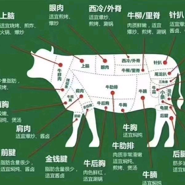 蒋营赵勇牛羊肉批发