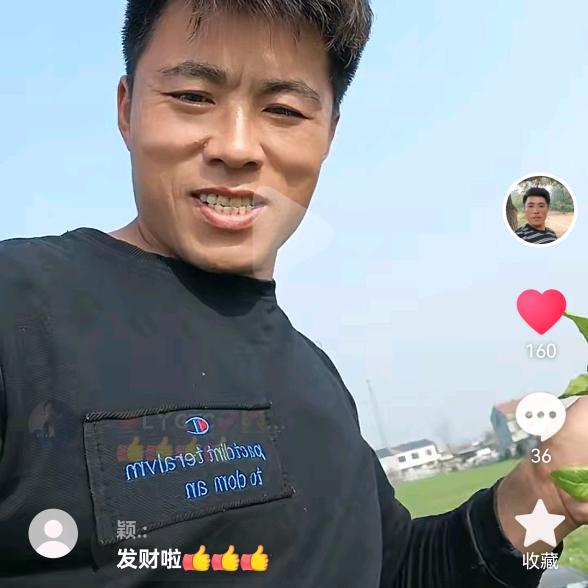 专业种荠菜（帅哥)